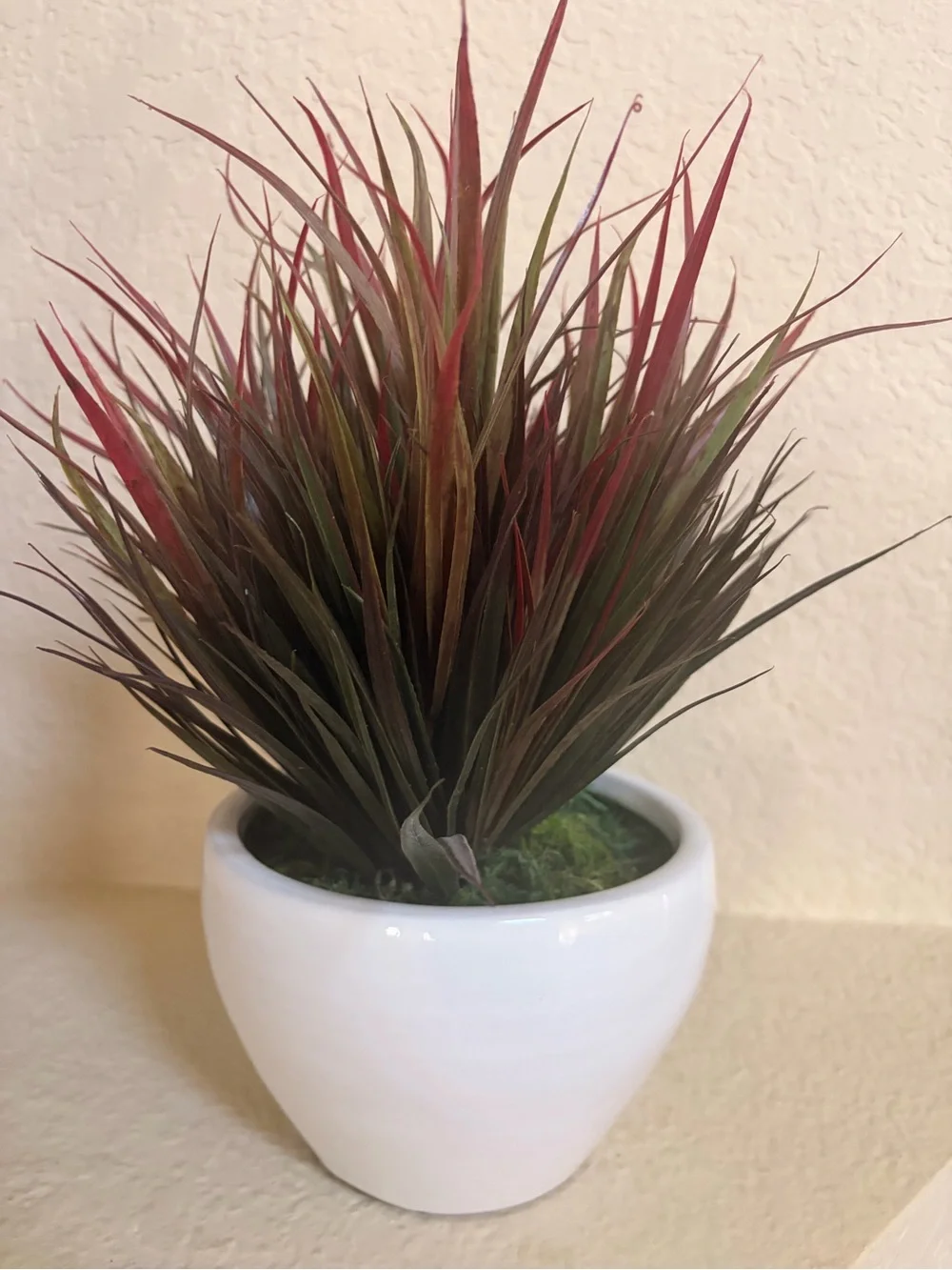 Artificial Red and Green Grass Plant in White Ceramic Pot - Home Accents